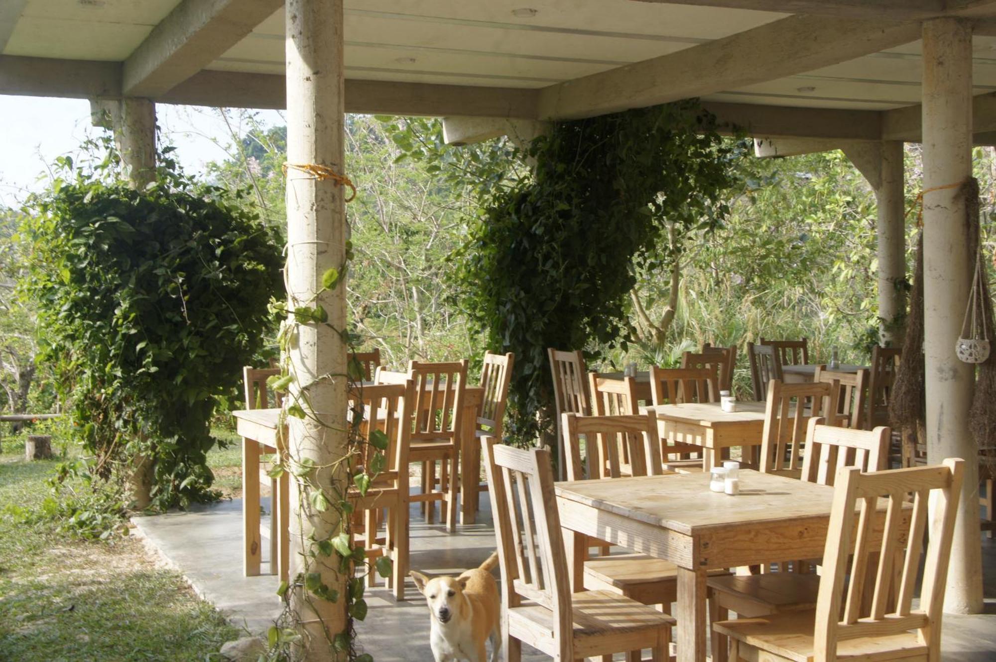 Hostal Vista Verde 米卡 外观 照片